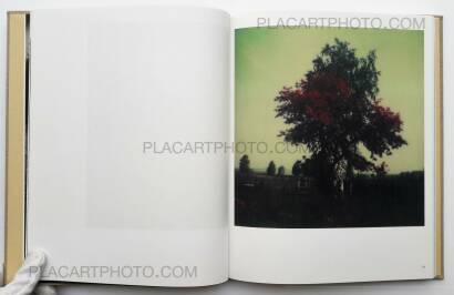 Andrey Tarkovsky,Bright, bright day Andrey Tarkovsky,Bright, bright day