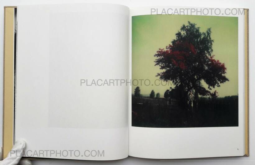 Andrey Tarkovsky: Bright, bright day, White Space Gallery, 2007 