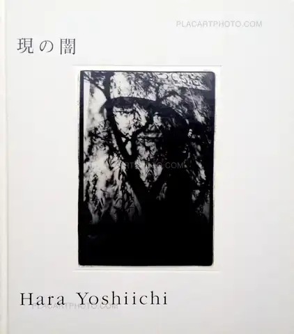 Yoshiichi Hara – Utsutsu no yami
