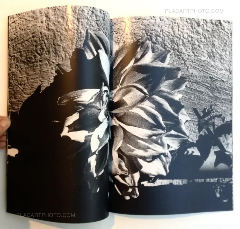 Ryuhei Yokoyama – The Brief "Graffiti-like" history - (ONLY 30 COPIES - SIGNED)