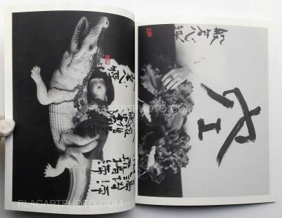 Nobuyoshi Araki,Imshu Nobuyoshi Araki,Imshu