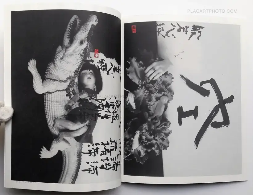 Nobuyoshi Araki – Imshu
