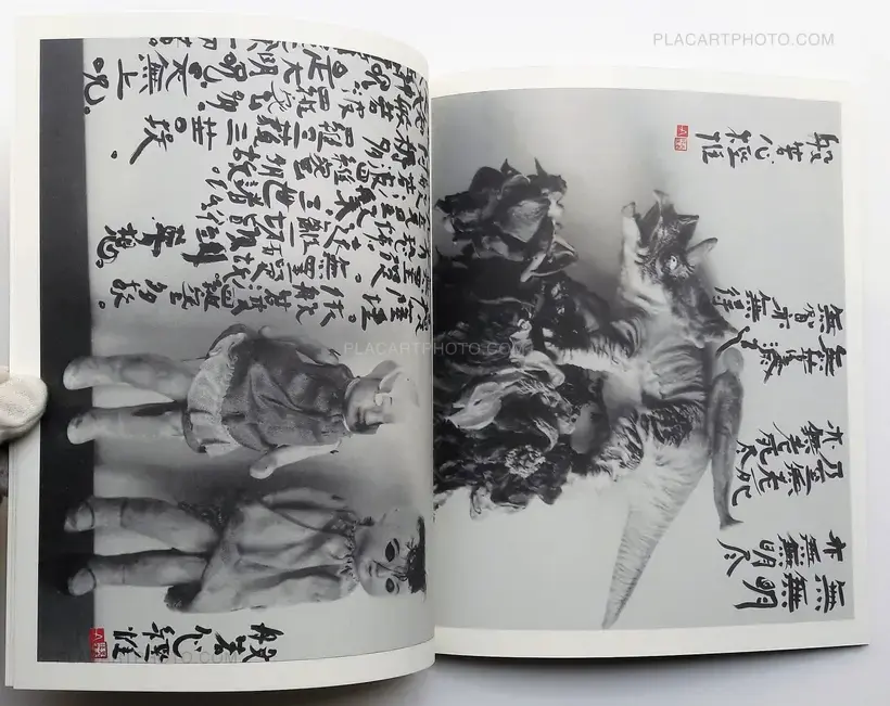 Nobuyoshi Araki – Imshu