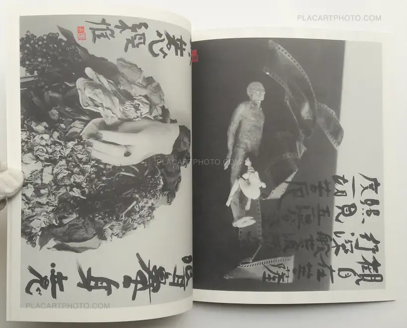 Nobuyoshi Araki – Imshu