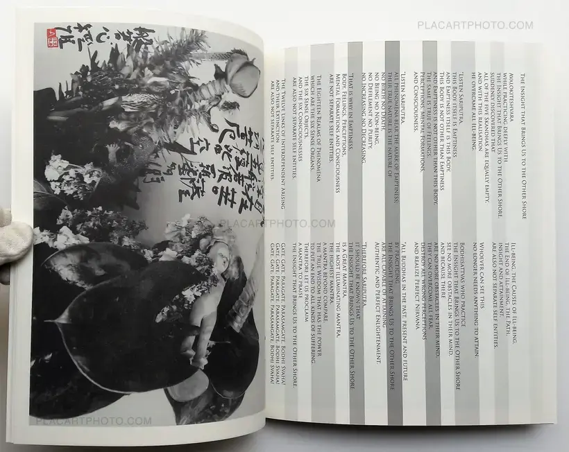Nobuyoshi Araki – Imshu