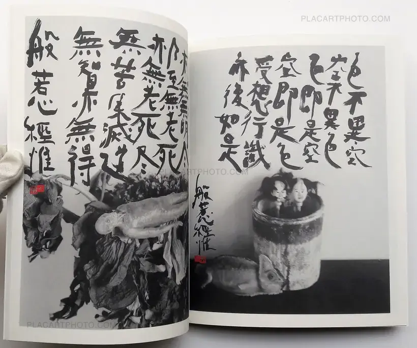 Nobuyoshi Araki – Imshu