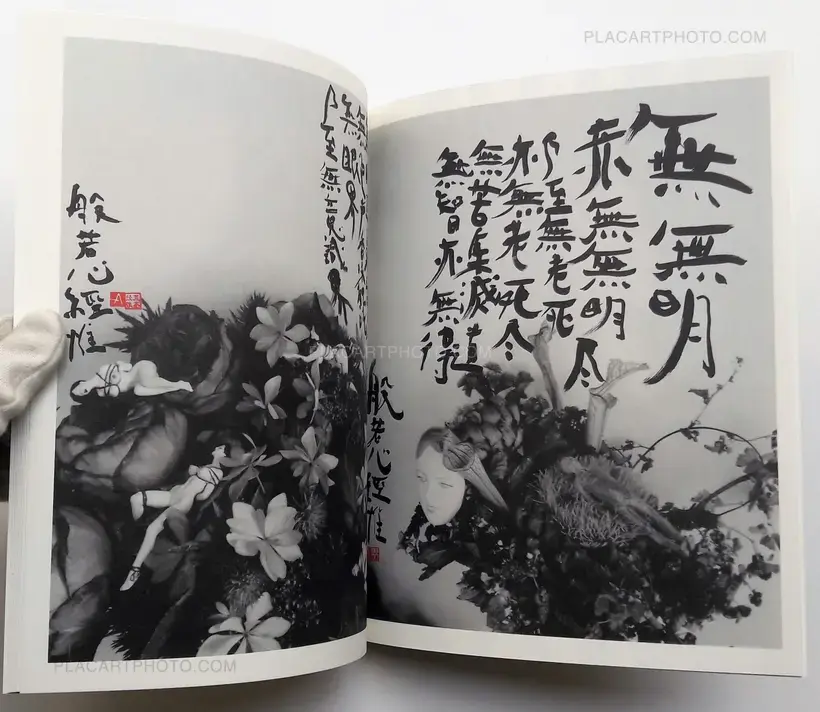 Nobuyoshi Araki – Imshu