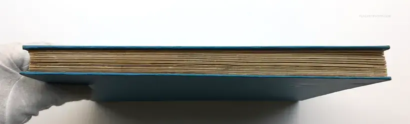 Collective – Rijeka (SIGNED)