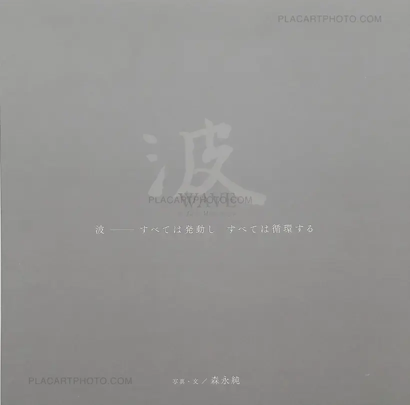 Jun Morinaga – Wave - All things change