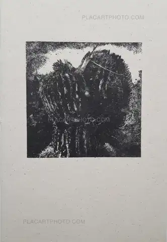 Ivan Alechine – Detalles secundarios / Details secondaires (ONLY 100 COPIES - SIGNED)