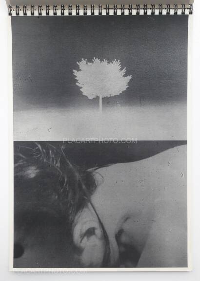 Daisuke Yokota,TEIKAI (Wandering at midnight)