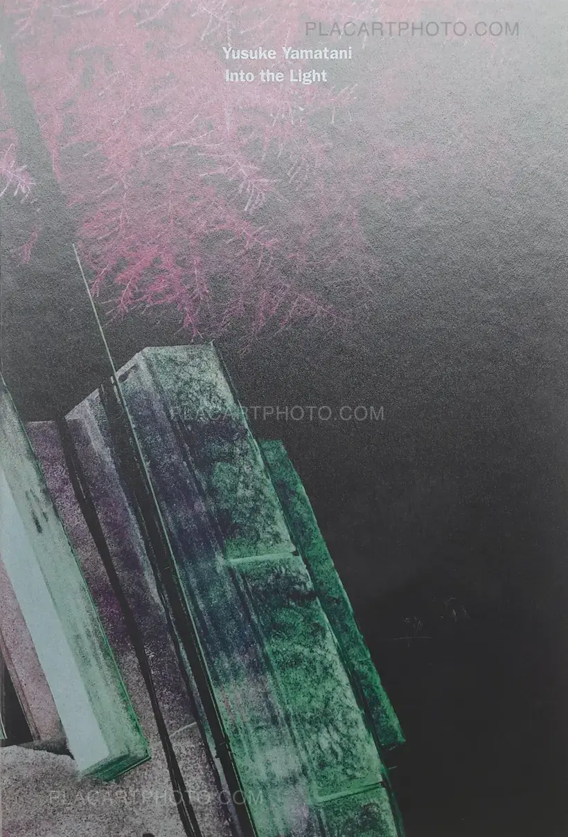 Yusuke Yamatani – Into the light (SIGNED)