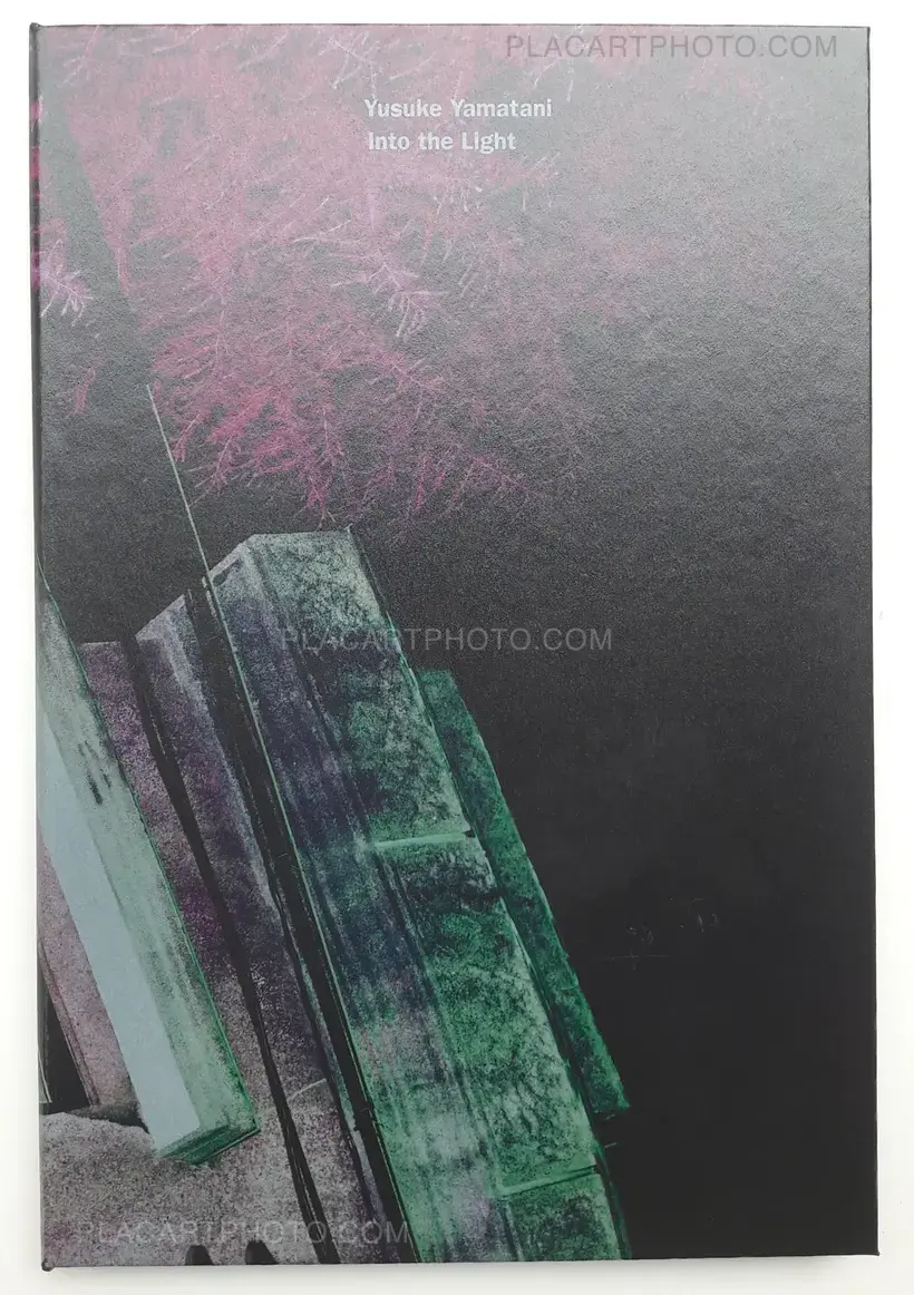Yusuke Yamatani – Into the light (SIGNED)