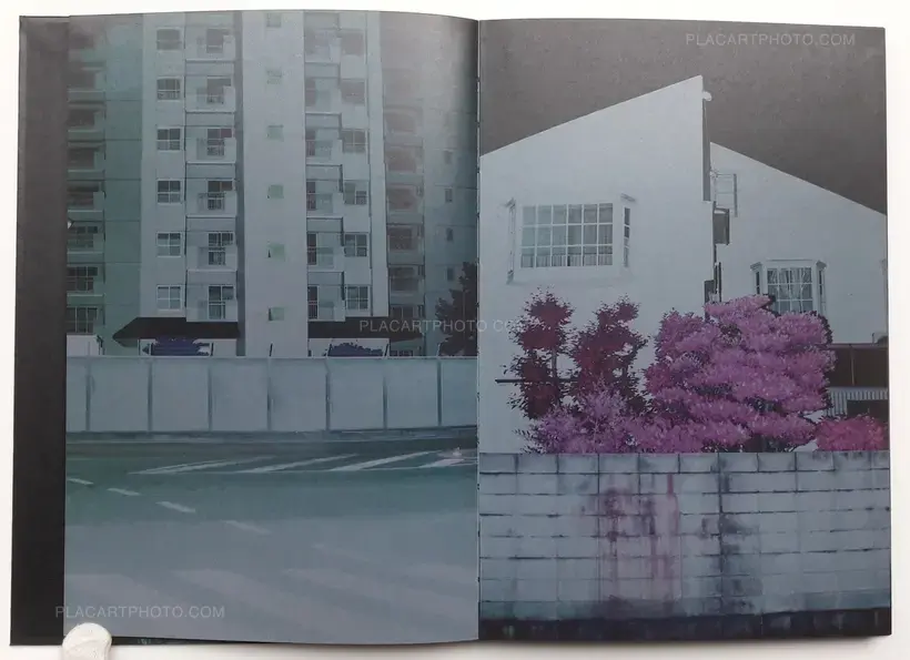 Yusuke Yamatani – Into the light (SIGNED)