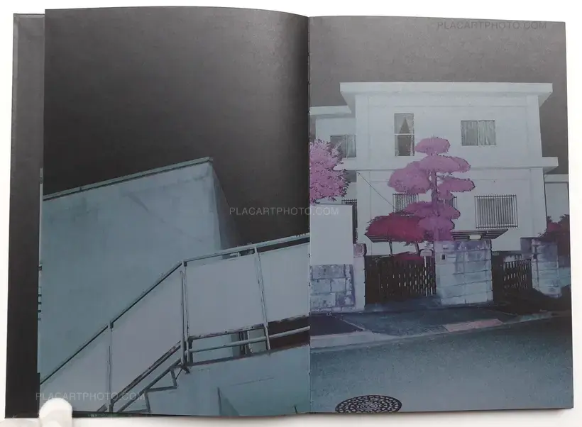 Yusuke Yamatani – Into the light (SIGNED)