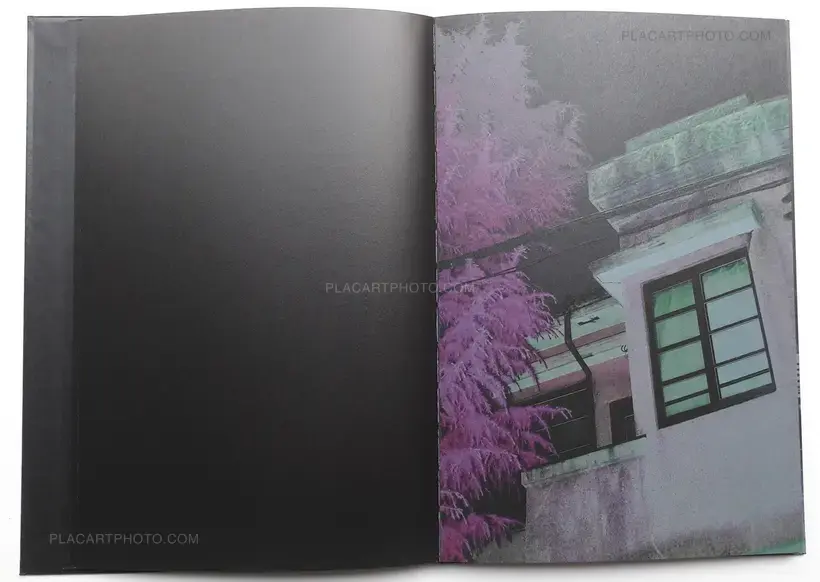 Yusuke Yamatani – Into the light (SIGNED)