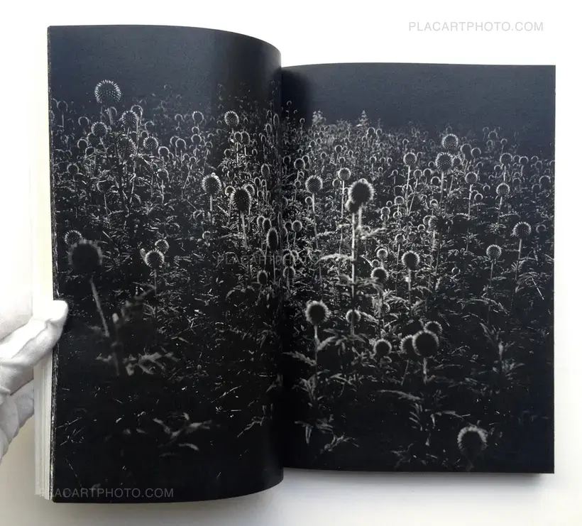 Thomas Vandenberghe – CAN’T PAY YOU TO DISAPPEAR (ONLY 200 COPIES)