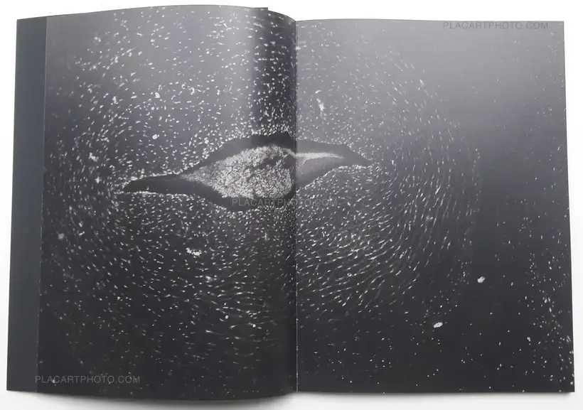 Constantin Schlachter – La Trajectoire du Gyrovague (ONLY 250 COPIES - SIGNED)