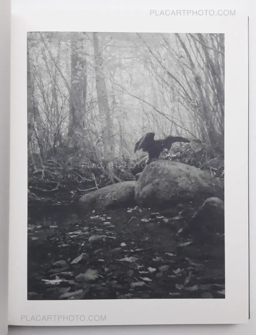 Stephen Gill – Night procession (SIGNED)