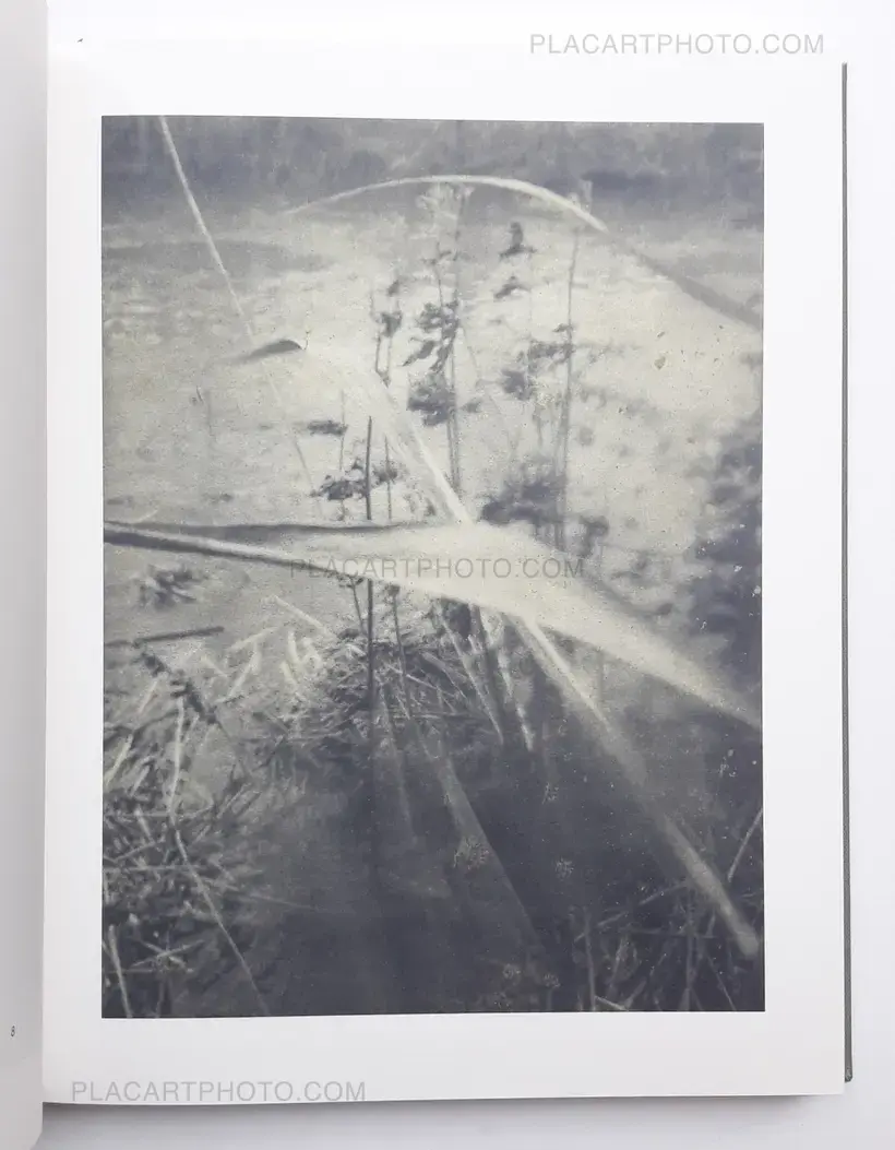 Stephen Gill – Night procession (SIGNED)