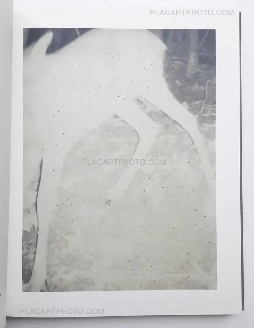 Stephen Gill – Night procession (SIGNED)