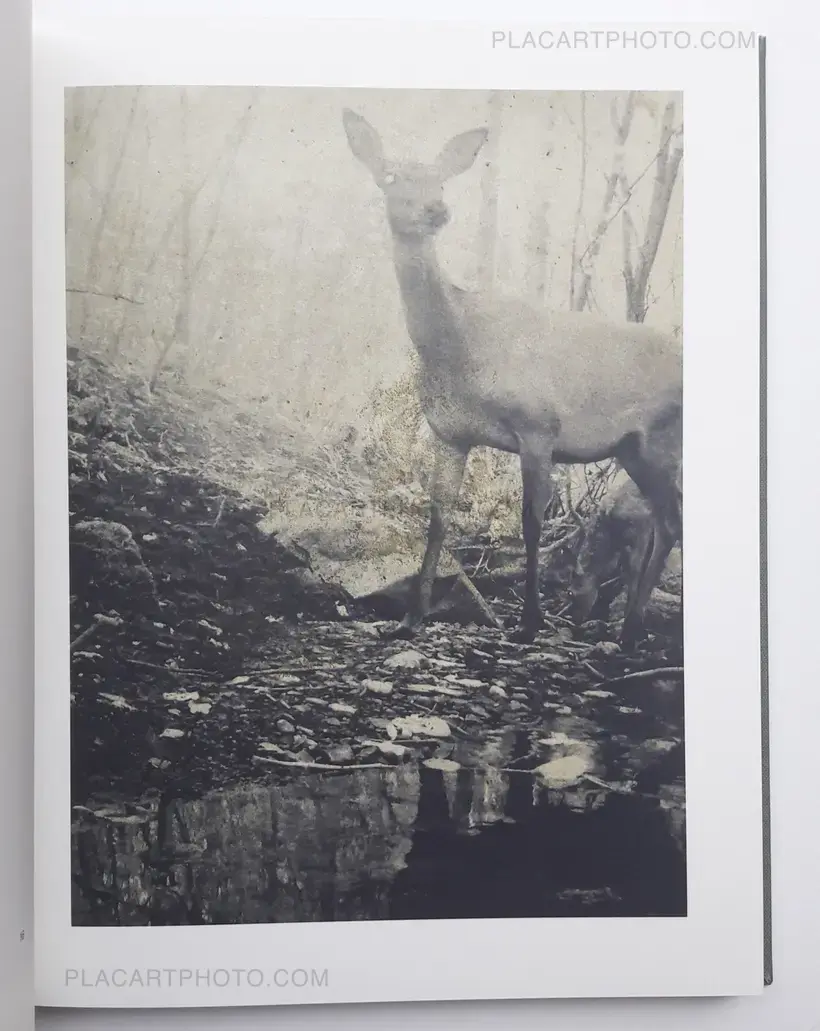 Stephen Gill – Night procession (SIGNED)