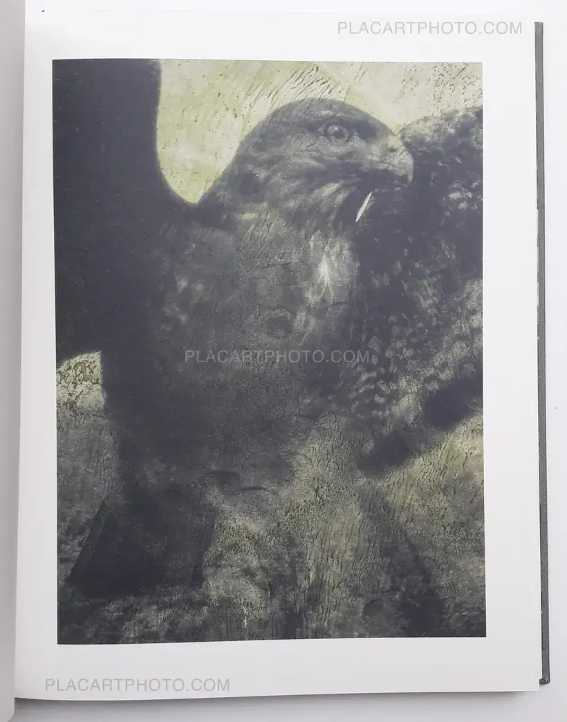 Stephen Gill – Night procession (SIGNED)
