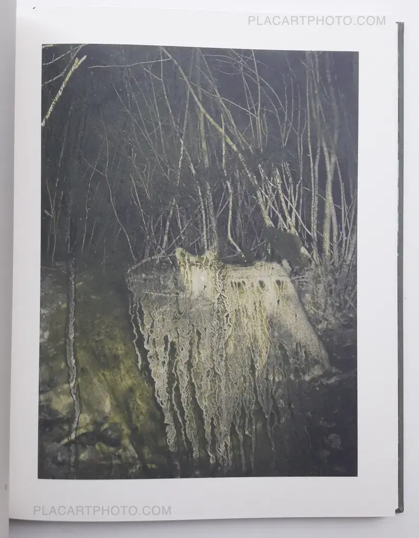 Stephen Gill – Night procession (SIGNED)