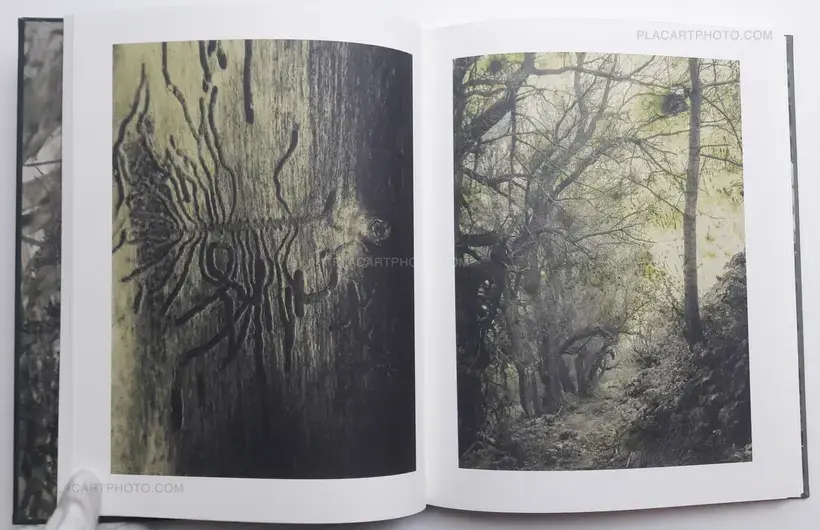 Stephen Gill – Night procession (SIGNED)
