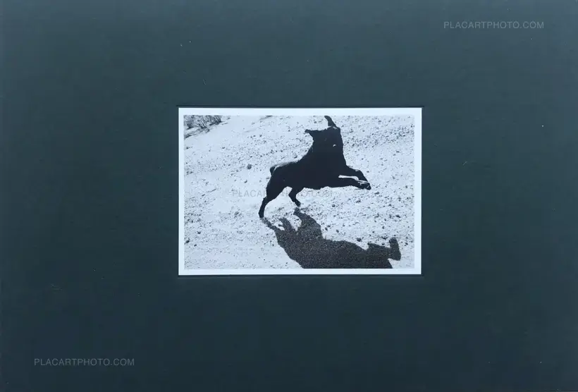 Collective – Pictures from moving cars