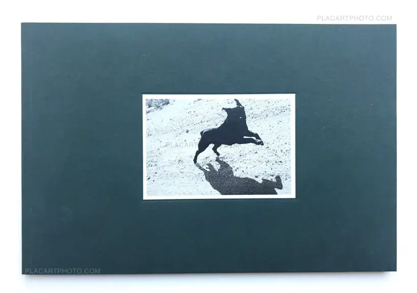 Collective – Pictures from moving cars