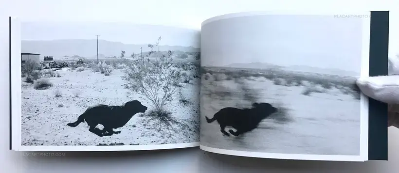 Collective – Pictures from moving cars