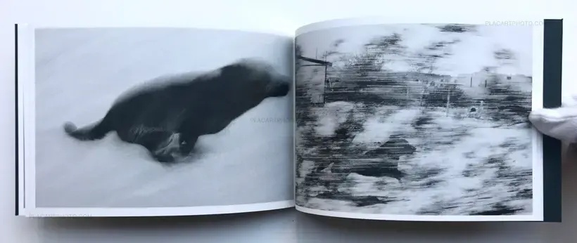 Collective – Pictures from moving cars