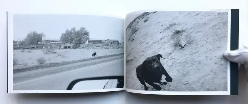 Collective – Pictures from moving cars