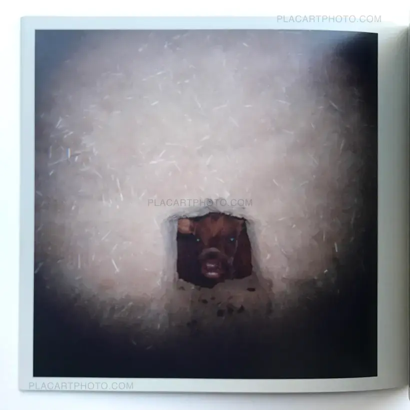 Xiao Zhang – Shanxi