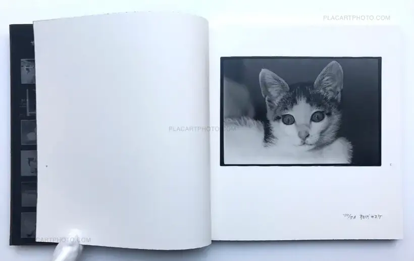 Masahisa Fukase – Afterword