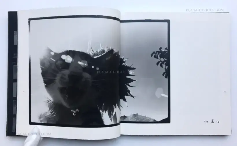 Masahisa Fukase – Afterword