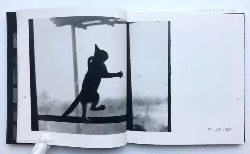 Masahisa Fukase – Afterword