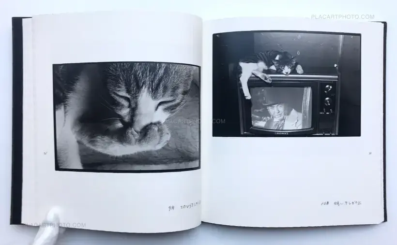 Masahisa Fukase – Afterword