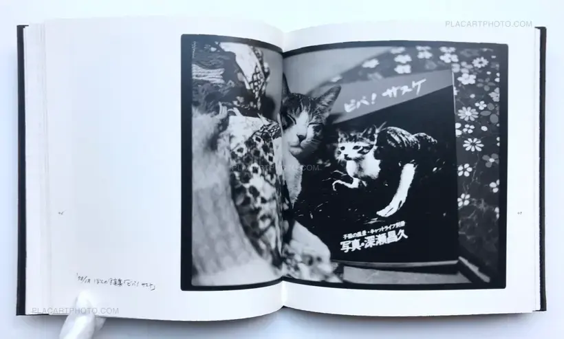 Masahisa Fukase – Afterword