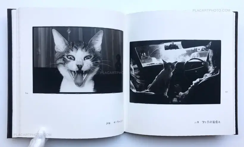Masahisa Fukase – Afterword