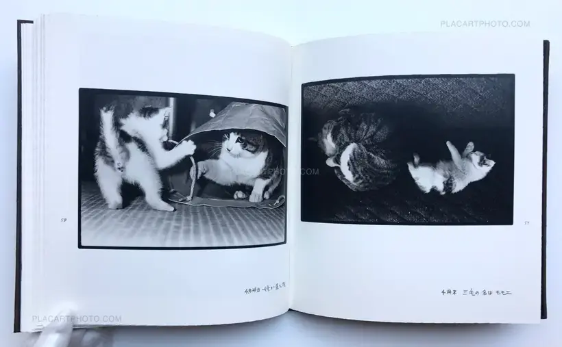 Masahisa Fukase – Afterword