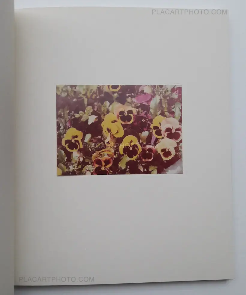 Luigi Ghirri – Luigi Ghirri