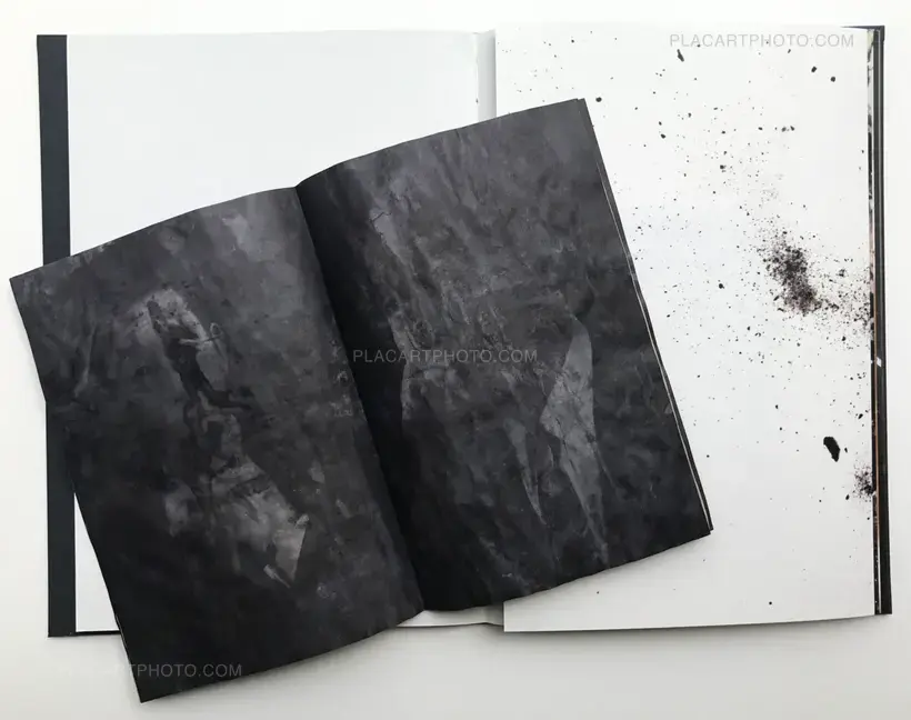 Mayumi Suzuki – The Restoration Will (CEIBA EDT)
