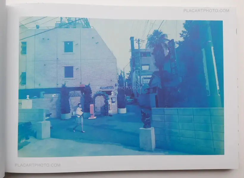 Nobuyoshi Araki – Blue Period/ Last Summer