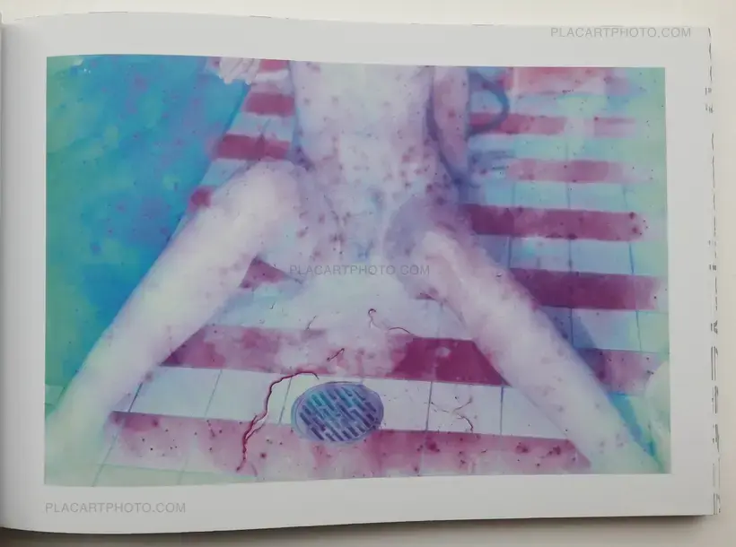 Nobuyoshi Araki – Blue Period/ Last Summer