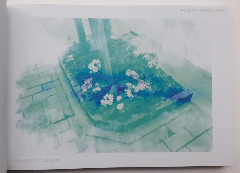 Nobuyoshi Araki – Blue Period/ Last Summer