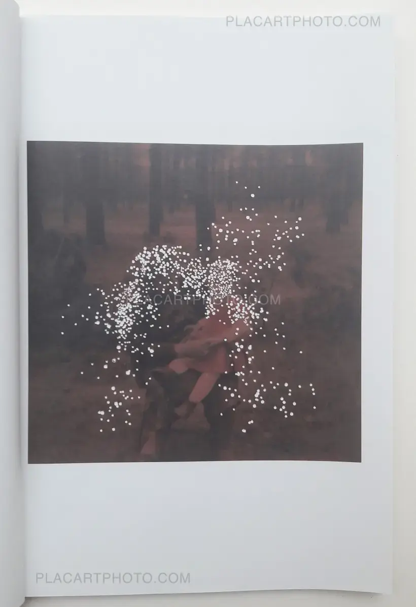 Amy Friend – Stardust