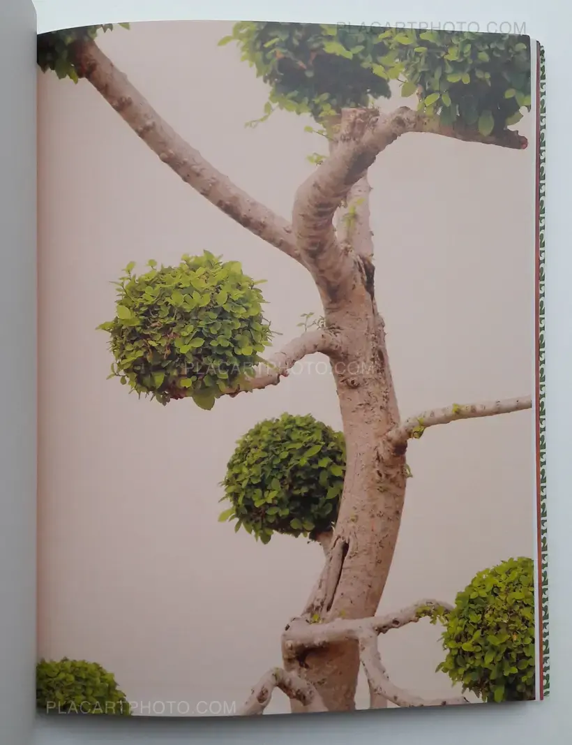 Heidi Specker – Bangkok