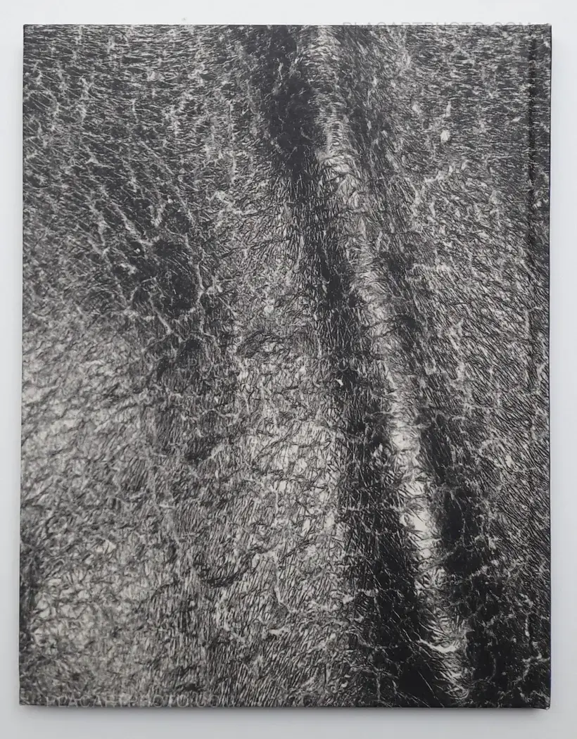 Koos Breukel – Hyde